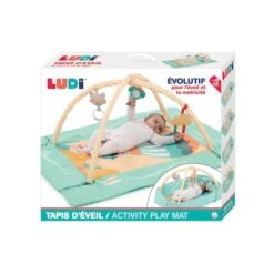 Tapis D'éveil Montgolfière -Moulin Roty Soldes 3550833200087 3550833200087 9BaseMedia 550Wx550H