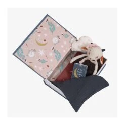 Moulin Roty Coffret Livre Bonne Nuit Après La Pluie -Moulin Roty Soldes 3575677150060 3575677150060 3BaseMedia 550Wx550H