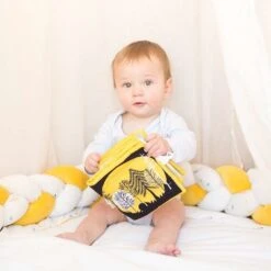 Livre D'éveil Cache Cache En Fôret -Moulin Roty Soldes 3701322712349 3701322712349 4BaseMedia 550Wx550H