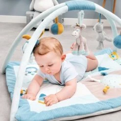 NATTOU Tapis D'éveil Avec Arches -Moulin Roty Soldes 5414673498258 5414673498258 4BaseMedia 550Wx550H