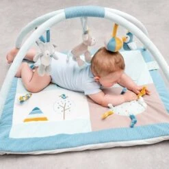 NATTOU Tapis D'éveil Avec Arches -Moulin Roty Soldes 5414673498258 5414673498258 6BaseMedia 550Wx550H
