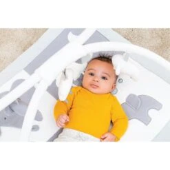 NATTOU Tembo Tapis D'éveil Avec Arches -Moulin Roty Soldes 5414673929134 5414673929134 7BaseMedia 550Wx550H