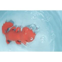 Lilliputiens Flotteur Alice -Moulin Roty Soldes 5414834833591 5414834833591 3BaseMedia 550Wx550H