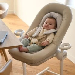 Beaba Transat Up&Down + -Moulin Roty Soldes 550Wx550H 3384349150501 5