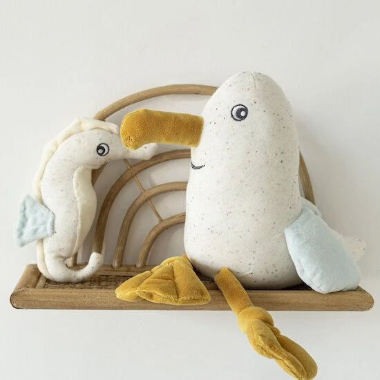 Paulette Musicale Au Large De Nova 4 Paulette Musicale Au Large De Nova – Image 4