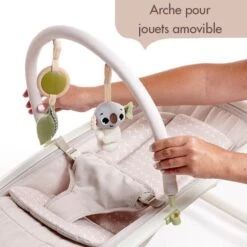 Tiny Love Transat 2en1 Pliable Avec Arche De Jeux -Moulin Roty Soldes 7290108862584 7290108862584 11BaseMedia 550Wx550H