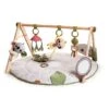 Tiny Love Tapis D'éveil Ultra Confort Et Arche En Bois
