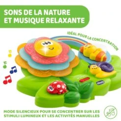 CHICCO Fleur D'activités Sensorielles 13 CHICCO Fleur D'activités Sensorielles -Moulin Roty Soldes 8058664124756 8058664124756 7BaseMedia 550Wx550H