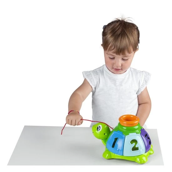 CHICCO Tortue à Balles 4 CHICCO Tortue à Balles – Image 4