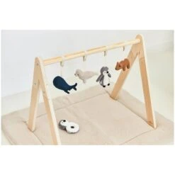 Jollein Arche D'éveil Bois -Moulin Roty Soldes 8717329364608 8717329364608 5BaseMedia 550Wx550H