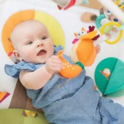 Tiny Love Tapis Dans La Foret -Moulin Roty Soldes ampafrancetapisdanslaforetnocolor 7290108861181 4BaseMedia 550Wx550H